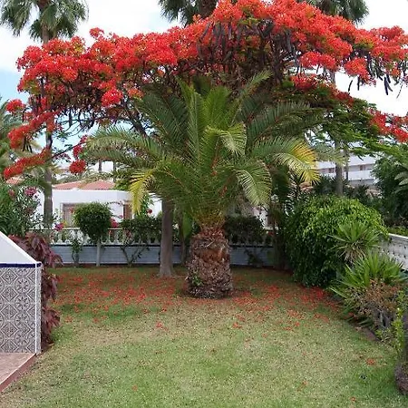 Hotel San Valentin & Terraflor Park Playa del Ingles (Gran Canaria)