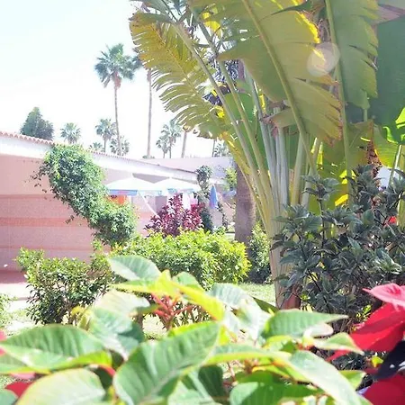 Otel San Valentin & Terraflor Park