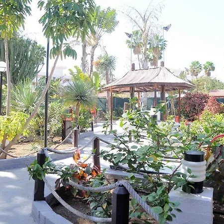 Otel San Valentin & Terraflor Park Playa del Ingles (Gran Canaria)